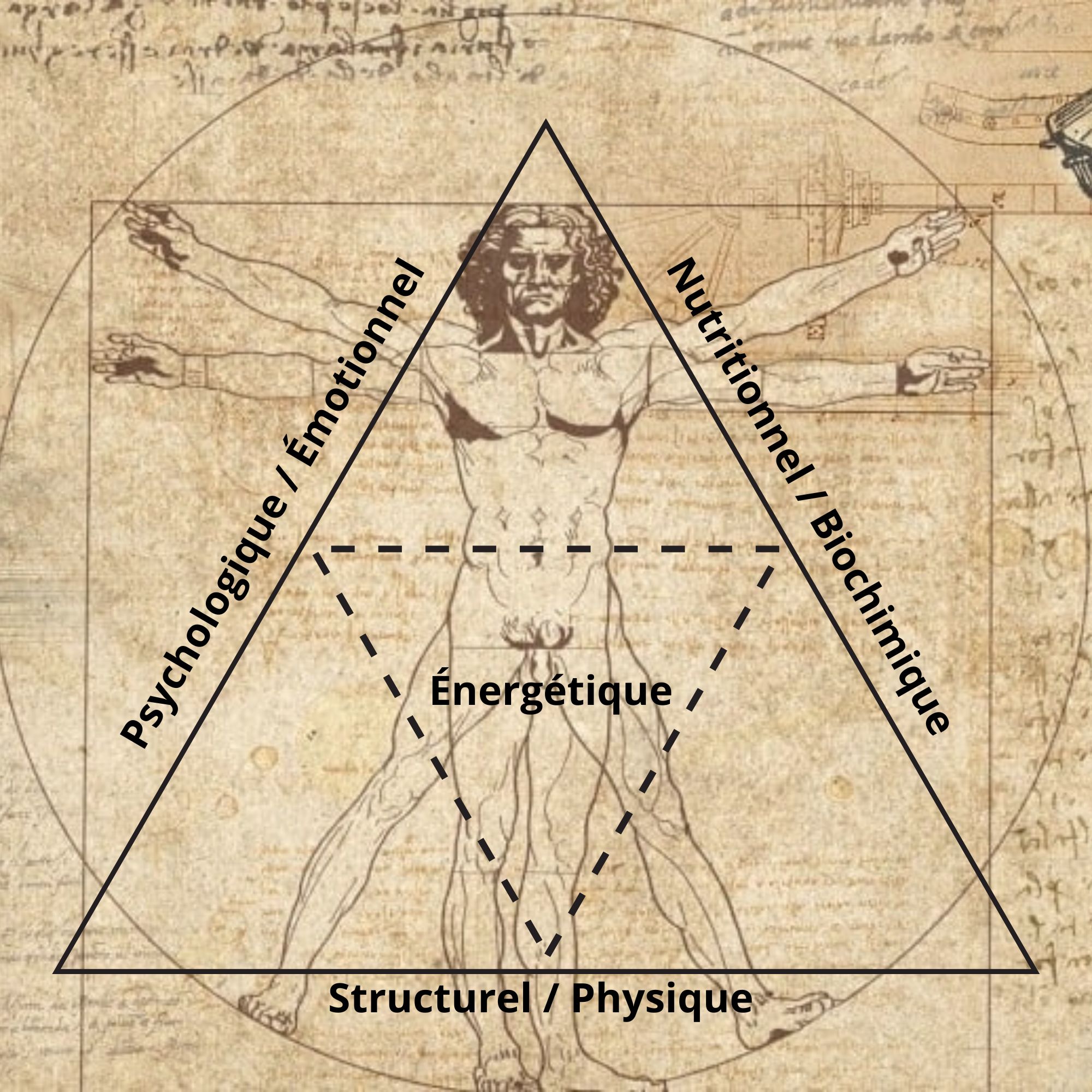 Triangle de la santé